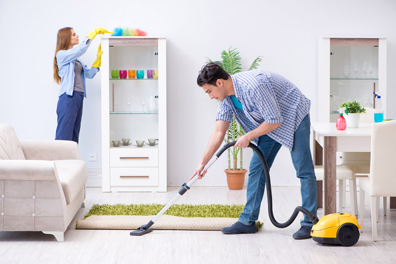 Dust in the Home