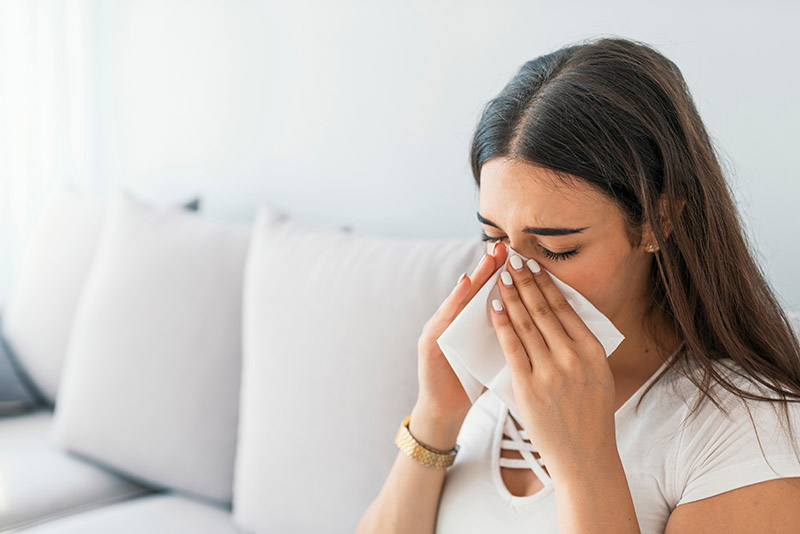 Indoor Allergies
