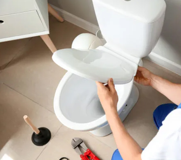 Toilet Repair
