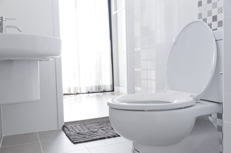 Toilet Repair